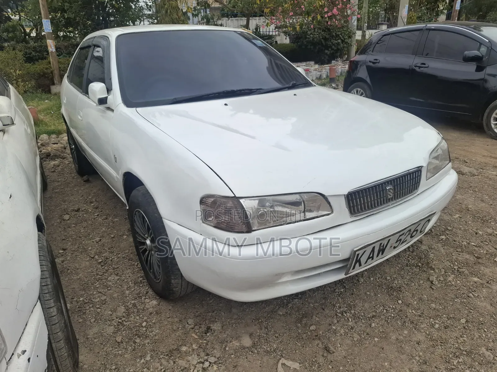 Toyota Corolla Automatic 1999 White