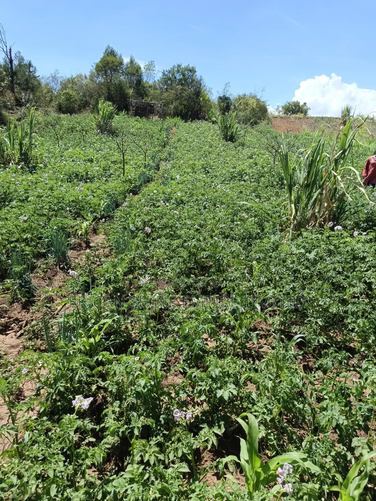 Ndaragwa 16 Acres for Sale