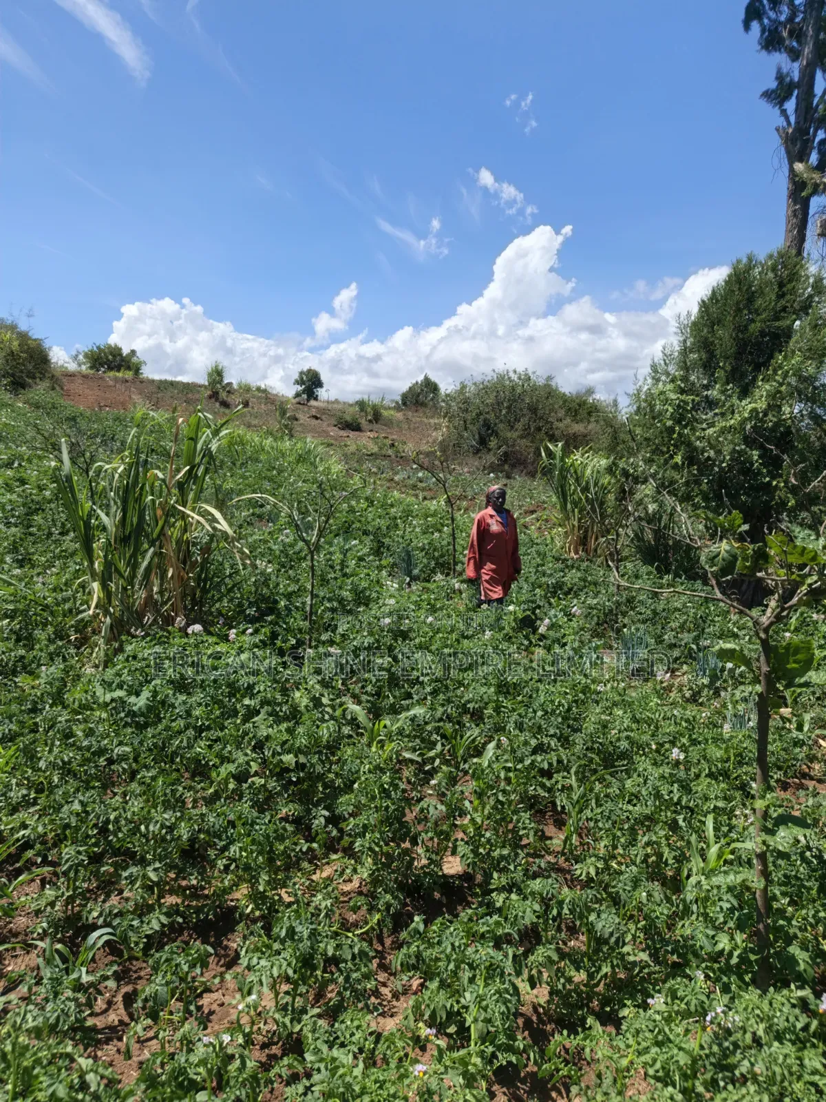 Ndaragwa 16 Acres for Sale