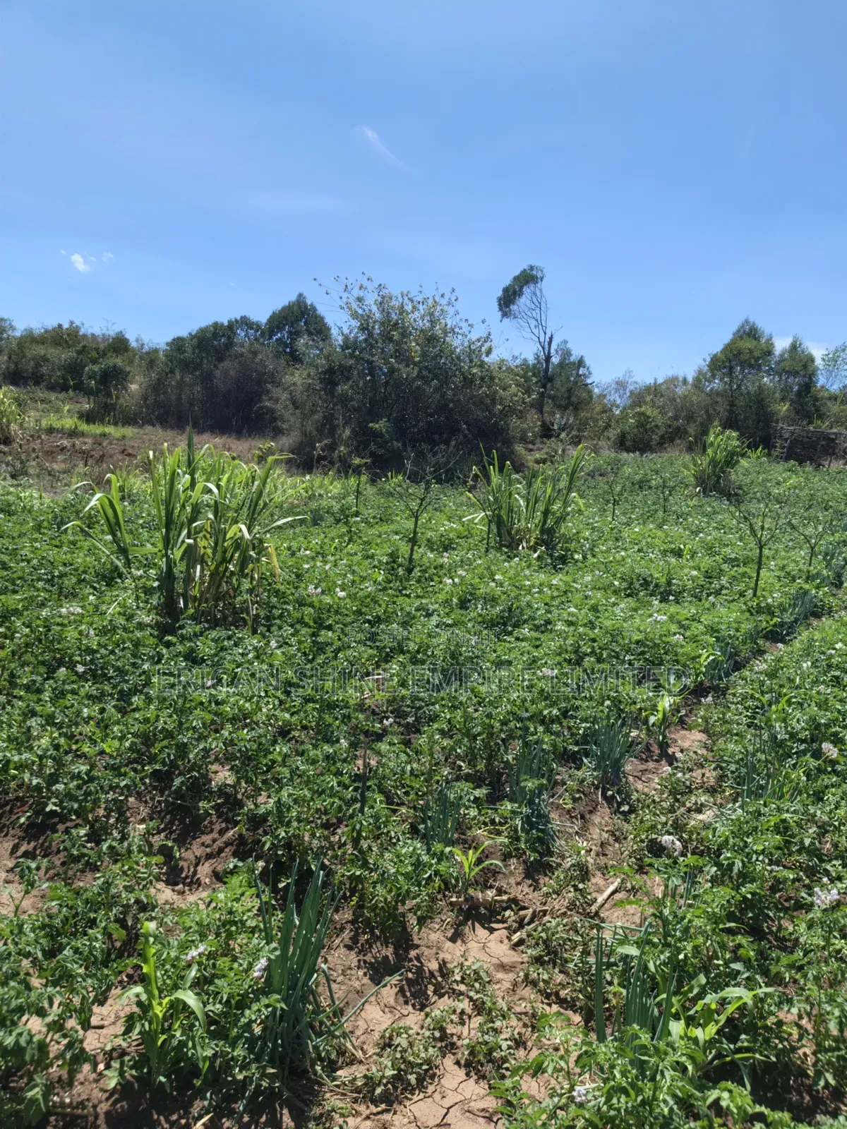 Ndaragwa 16 Acres for Sale