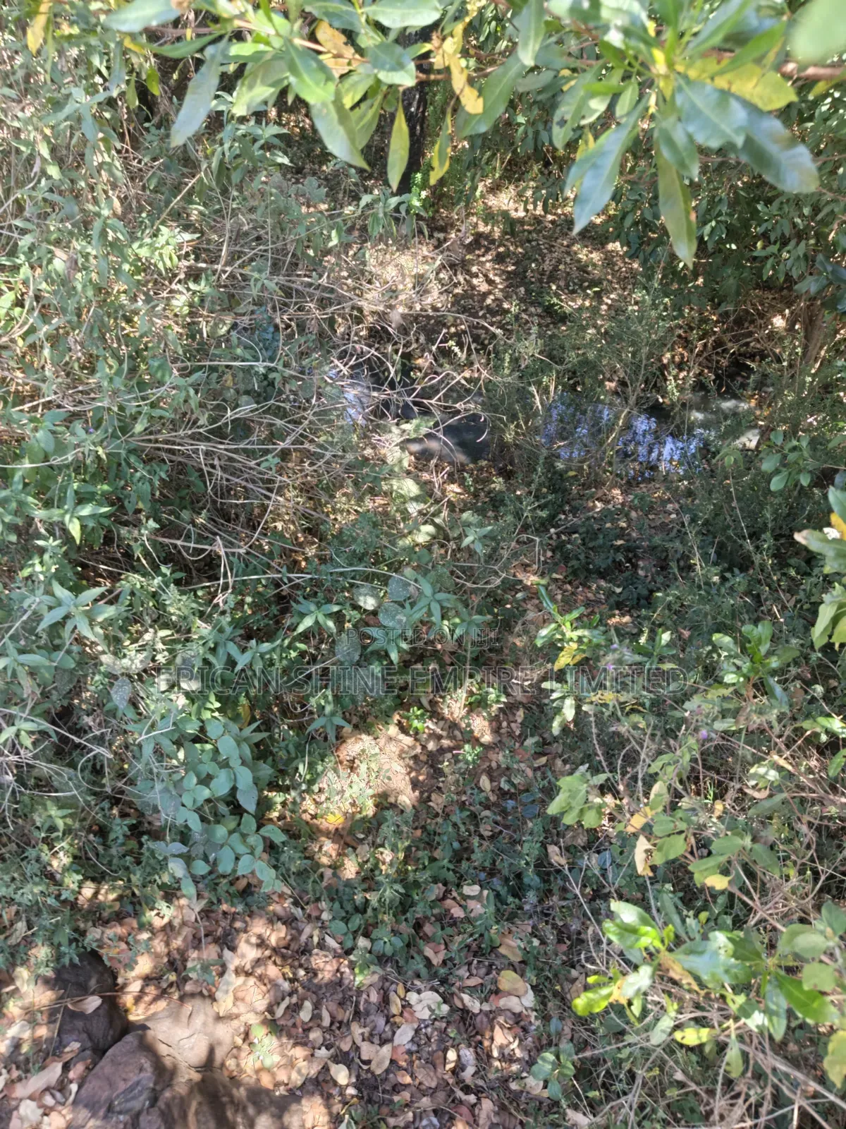 Ndaragwa 16 Acres for Sale