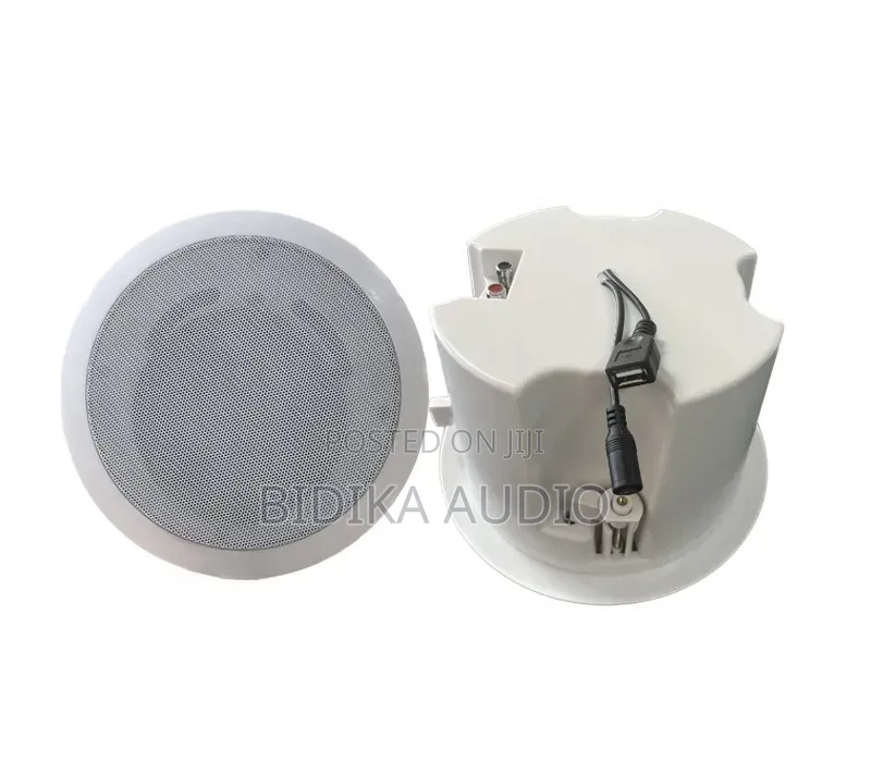 5 Inch Coaxial Speaker 30W 15v/2a Bluetooth USB