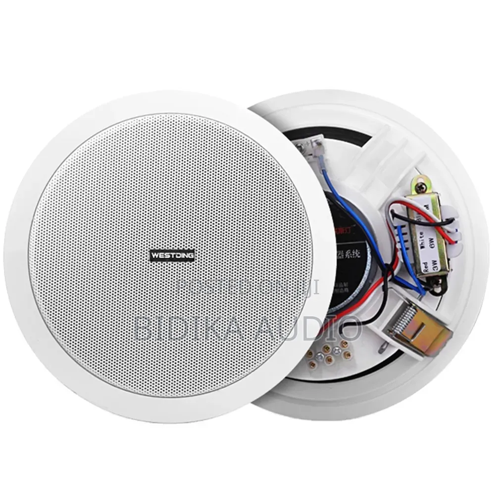 Factory Direct Sale Round Shaped Plastic Housing Passive 3W Ceiling