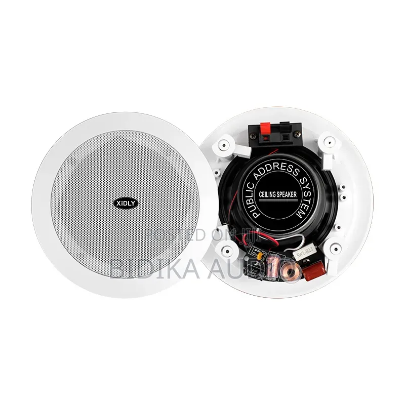 XIDLY - Factory Price 2 Way Coaxial Bluetooth Active