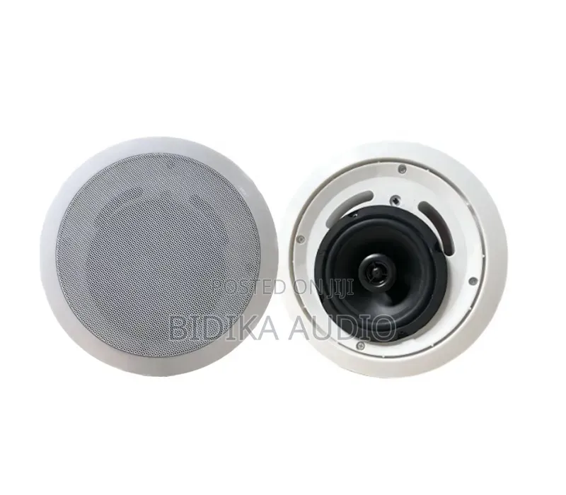 20W 4 Inch Coaxial Speaker 15v/2a Active Speaker OEM ODM With