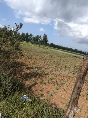 Land for Lease in Nyahururu