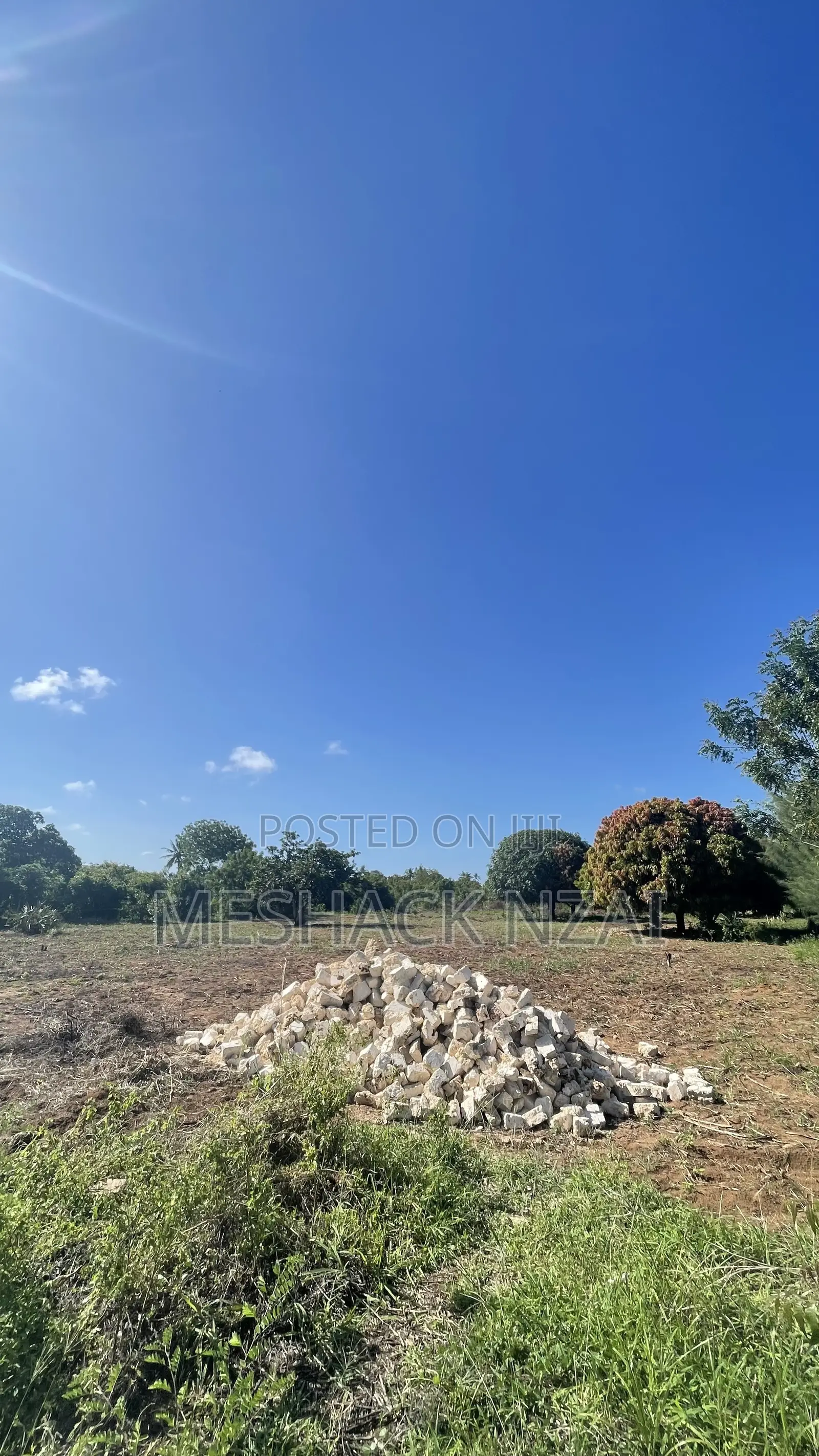 Gede 50 by 100 Ft Plots