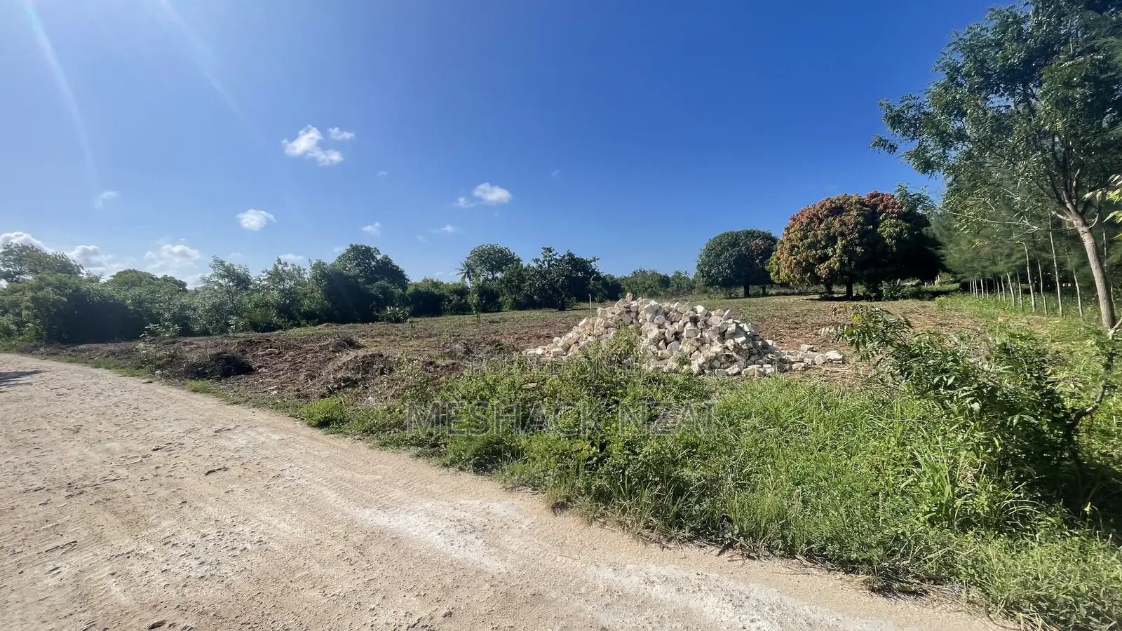 Gede 50 by 100 Ft Plots