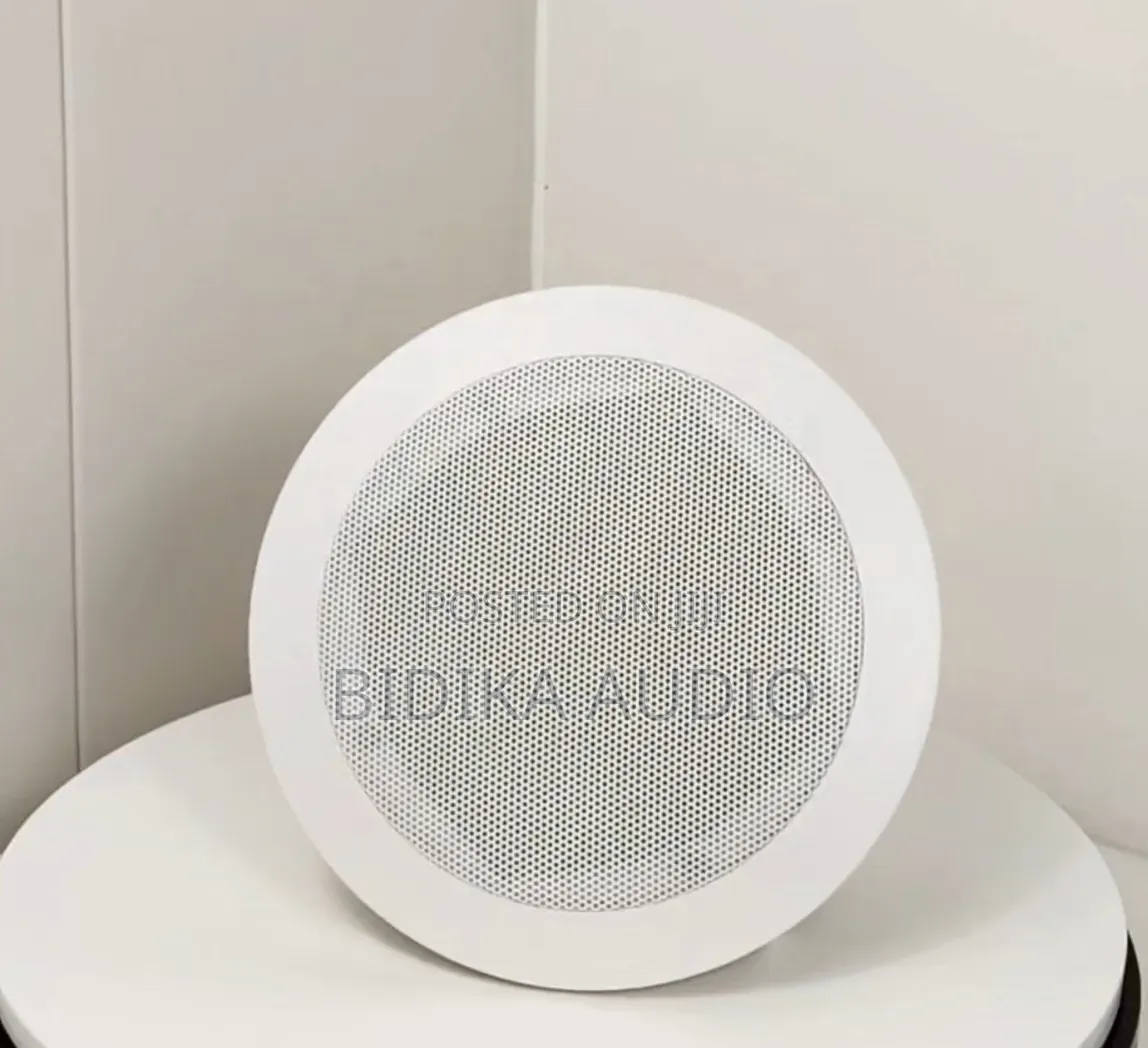 CL-305V ODM OEM Top Quality ABS 5 Inch Coaxial Speaker