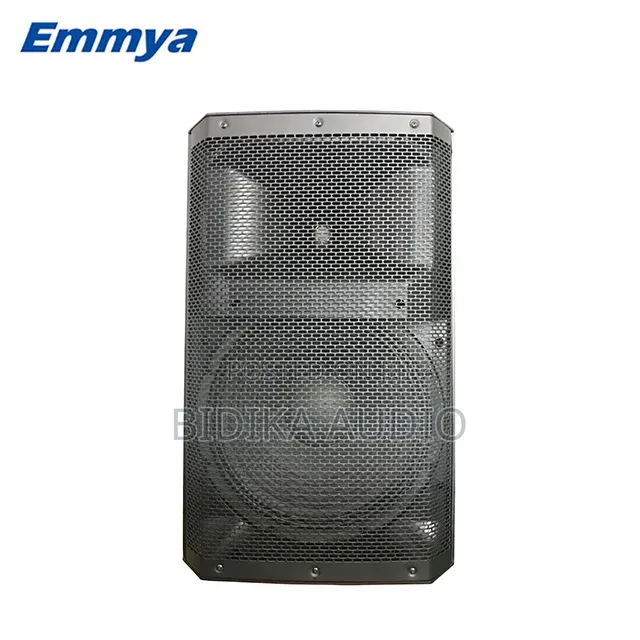-Inch DSP Active Plastic Speaker With Big Power and 8ohm