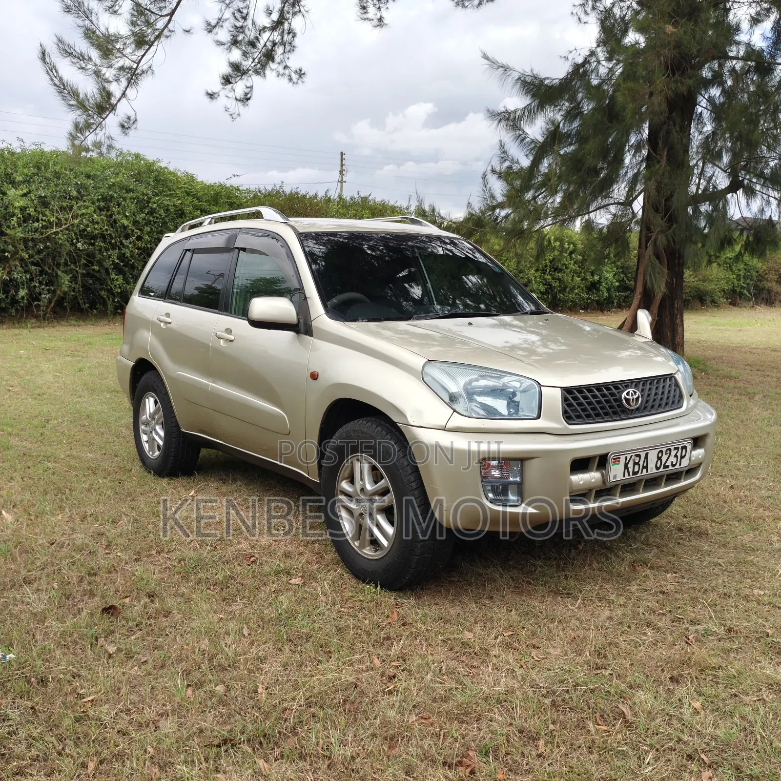 Toyota RAV4 2002 Gold