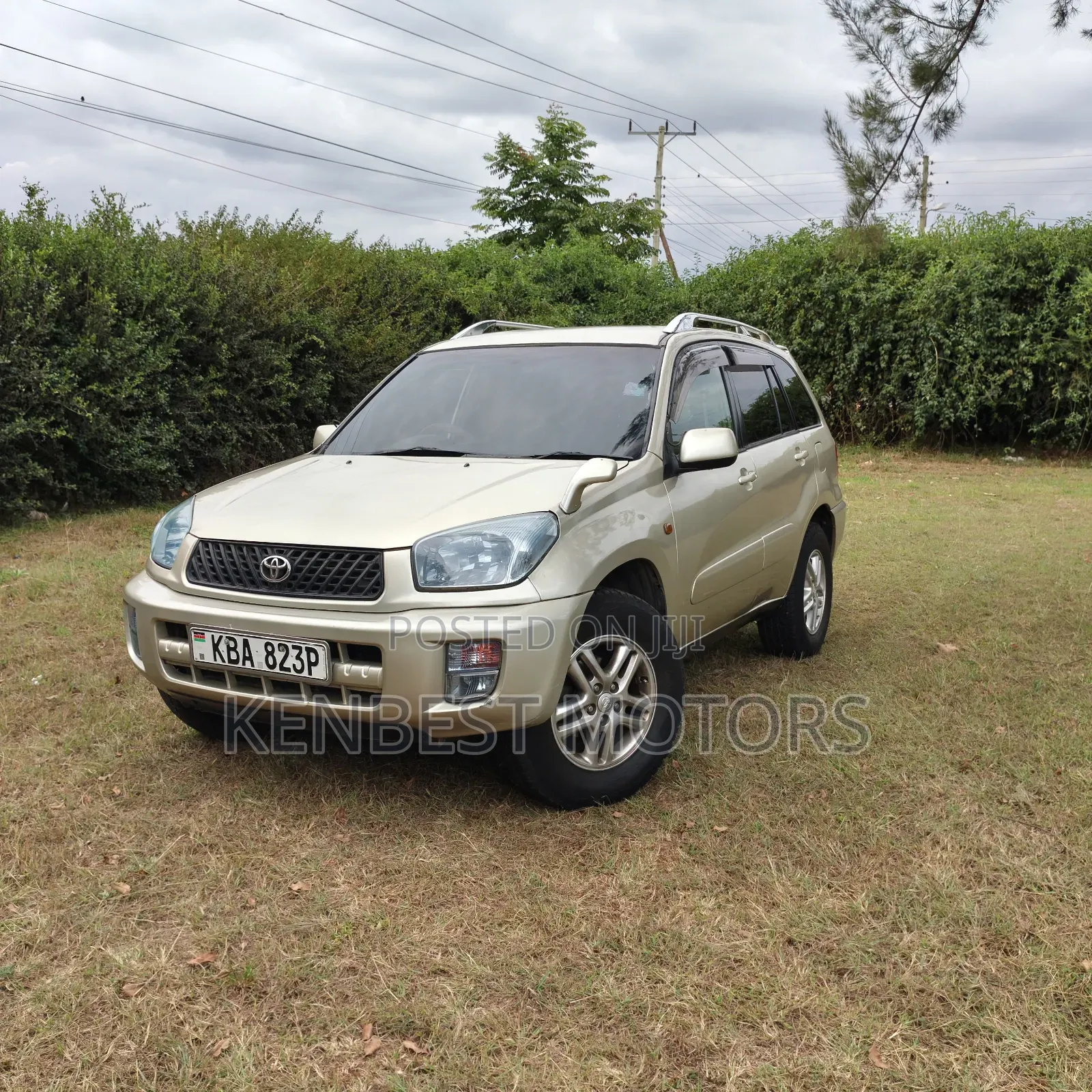 Toyota RAV4 2002 Gold