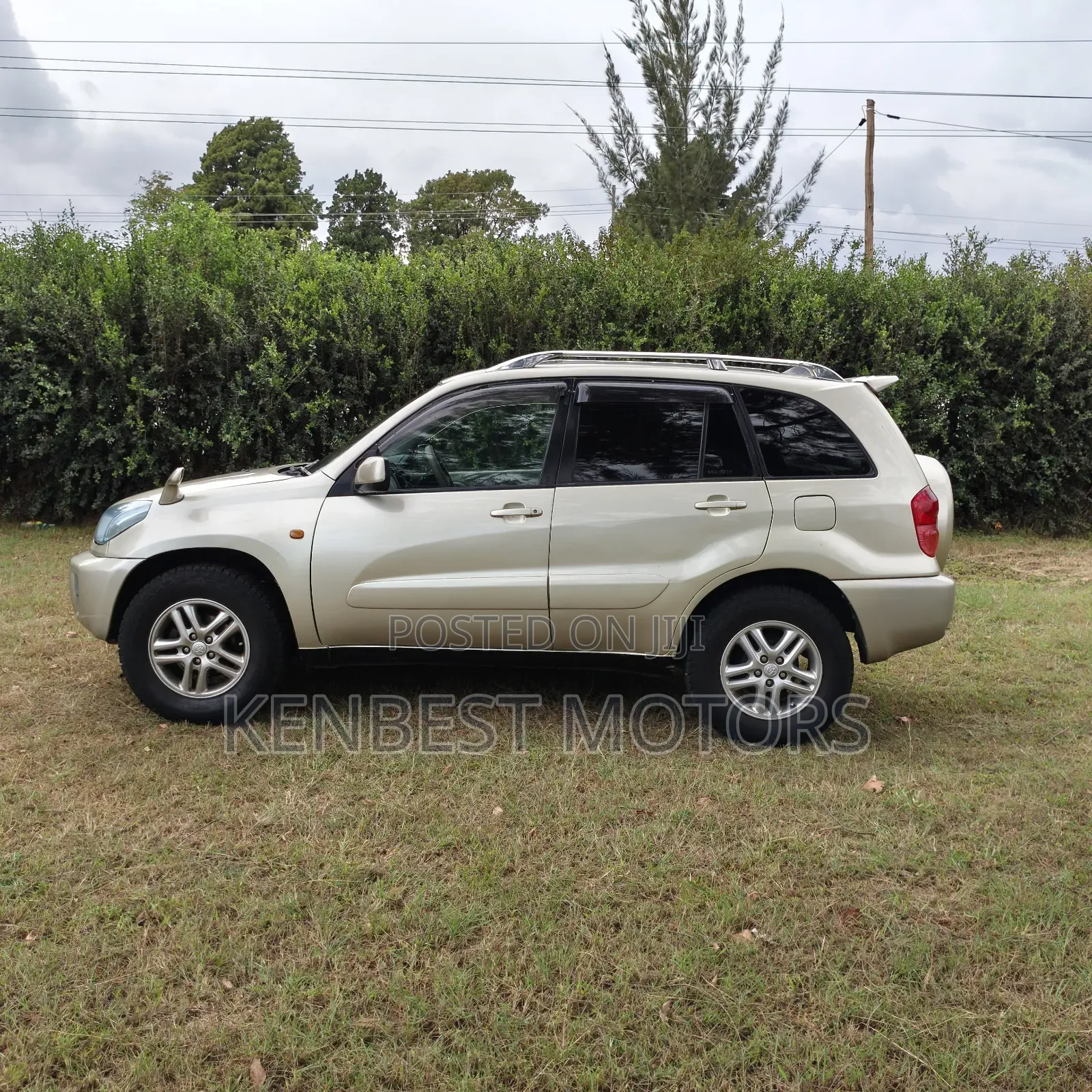 Toyota RAV4 2002 Gold