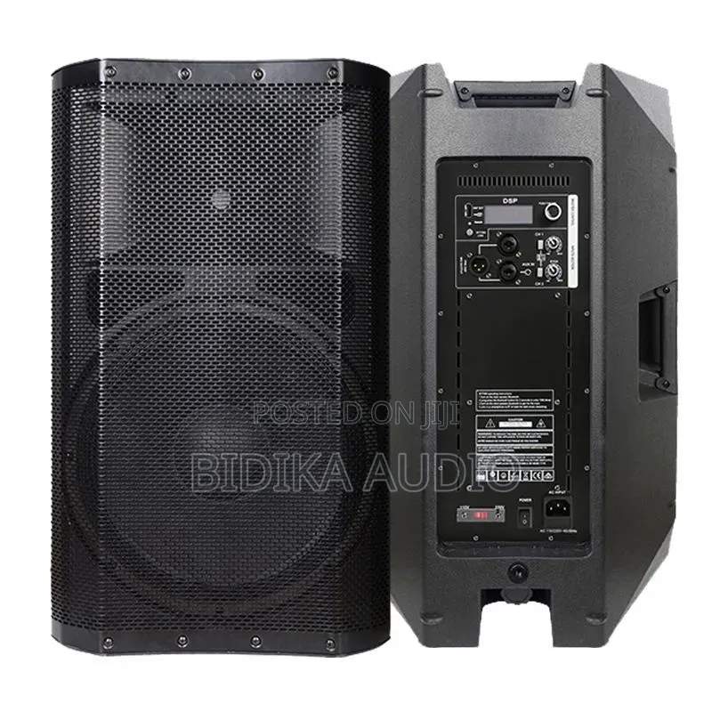 Accuracy Pro Audio CAN12D3 1000W Peak Professional Stage