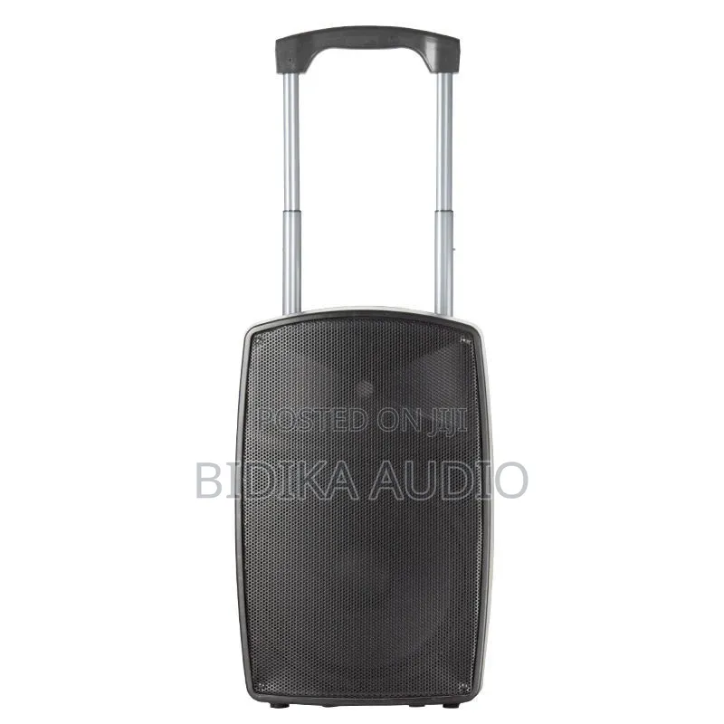 Professional Portable PA Speaker With Trolley Handle