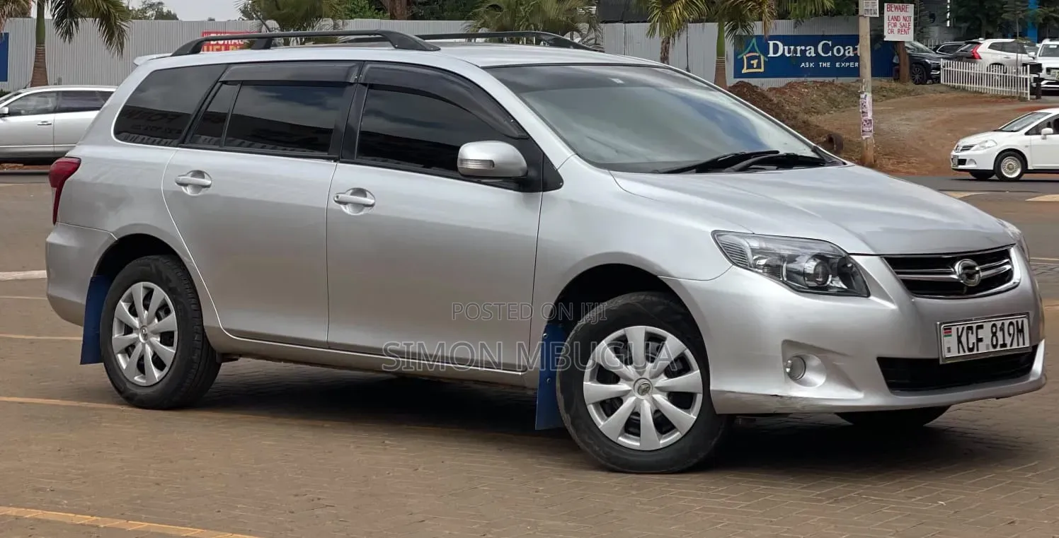 Toyota Corolla Fielder 2009 Silver