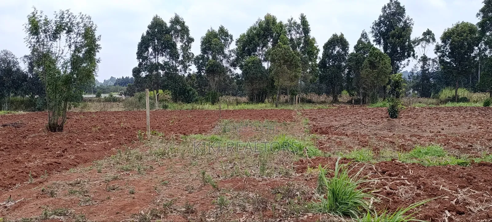 Plots for Sale in Kiroe Along Chungamali