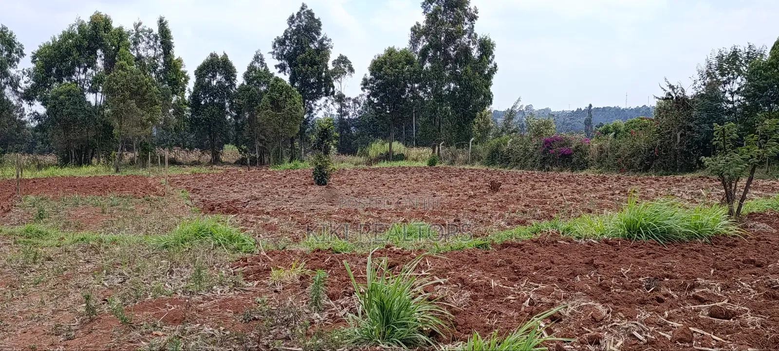 Plots for Sale in Kiroe Along Chungamali