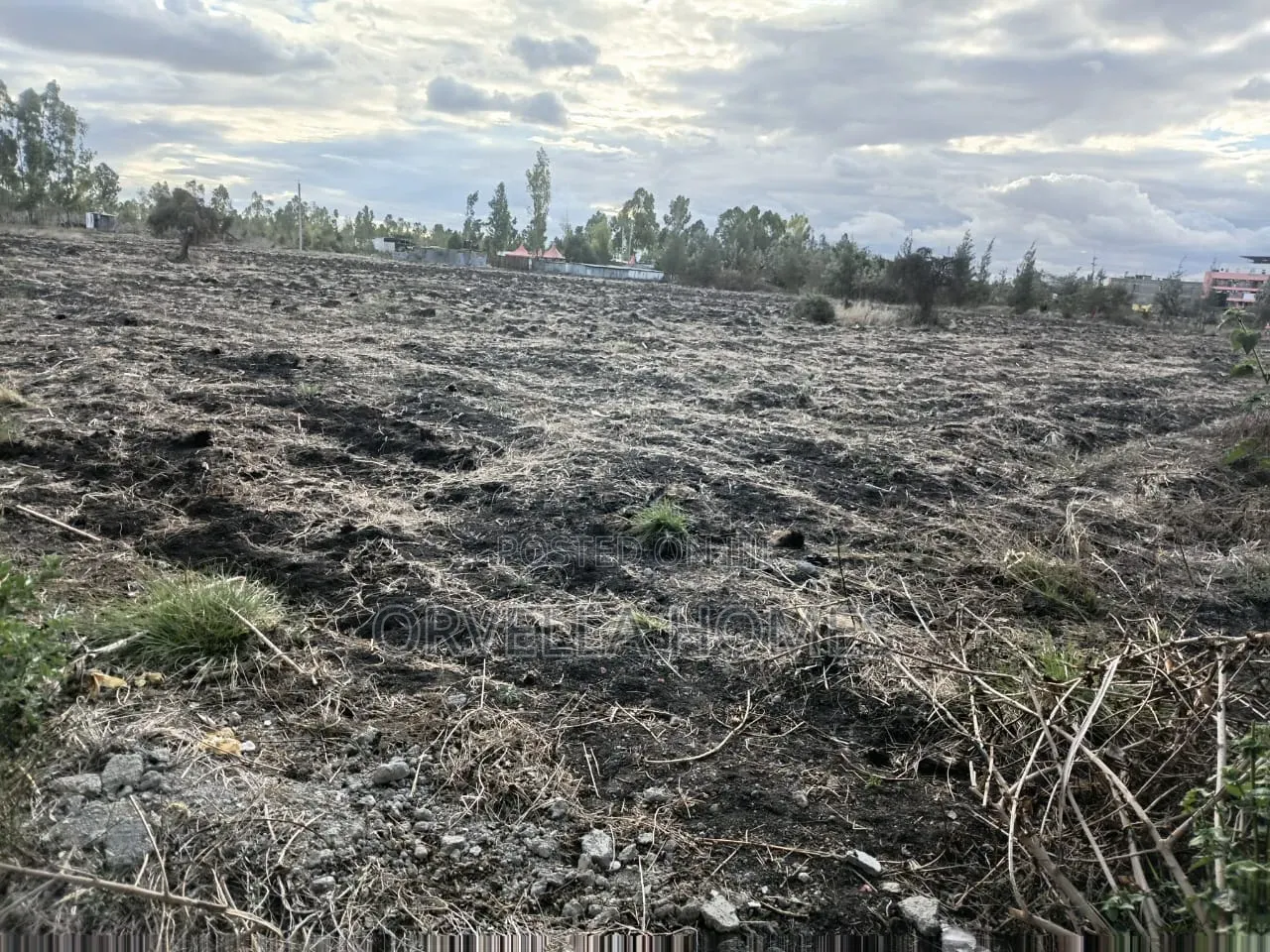 Land and Plot for Sale in Kitengela
