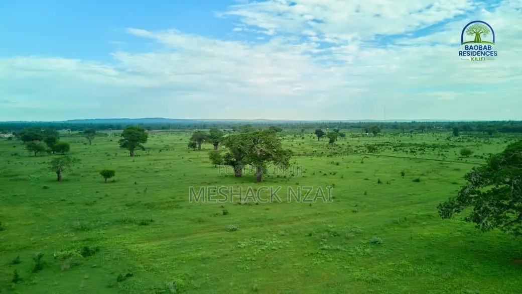 Kilifi Majaoni
