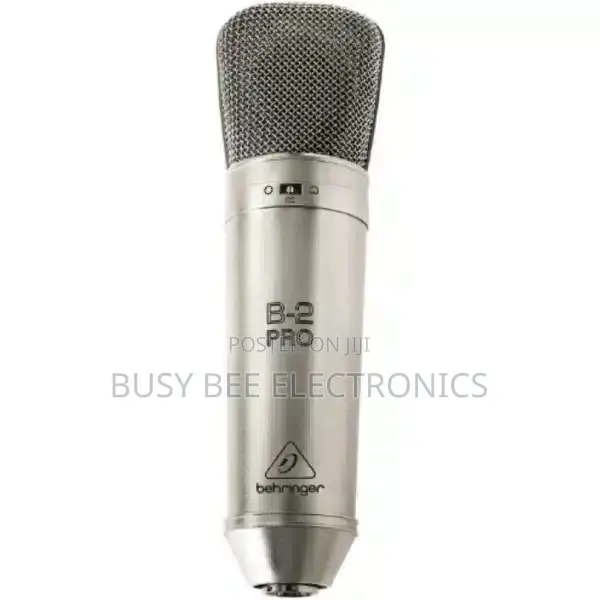 Behringer B2Pro Condenser Microphone