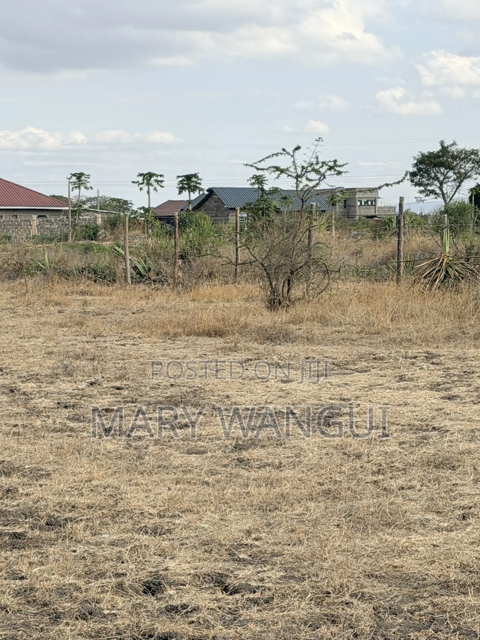 Nine (40 by 80) Plots Juja Farm -Mumba