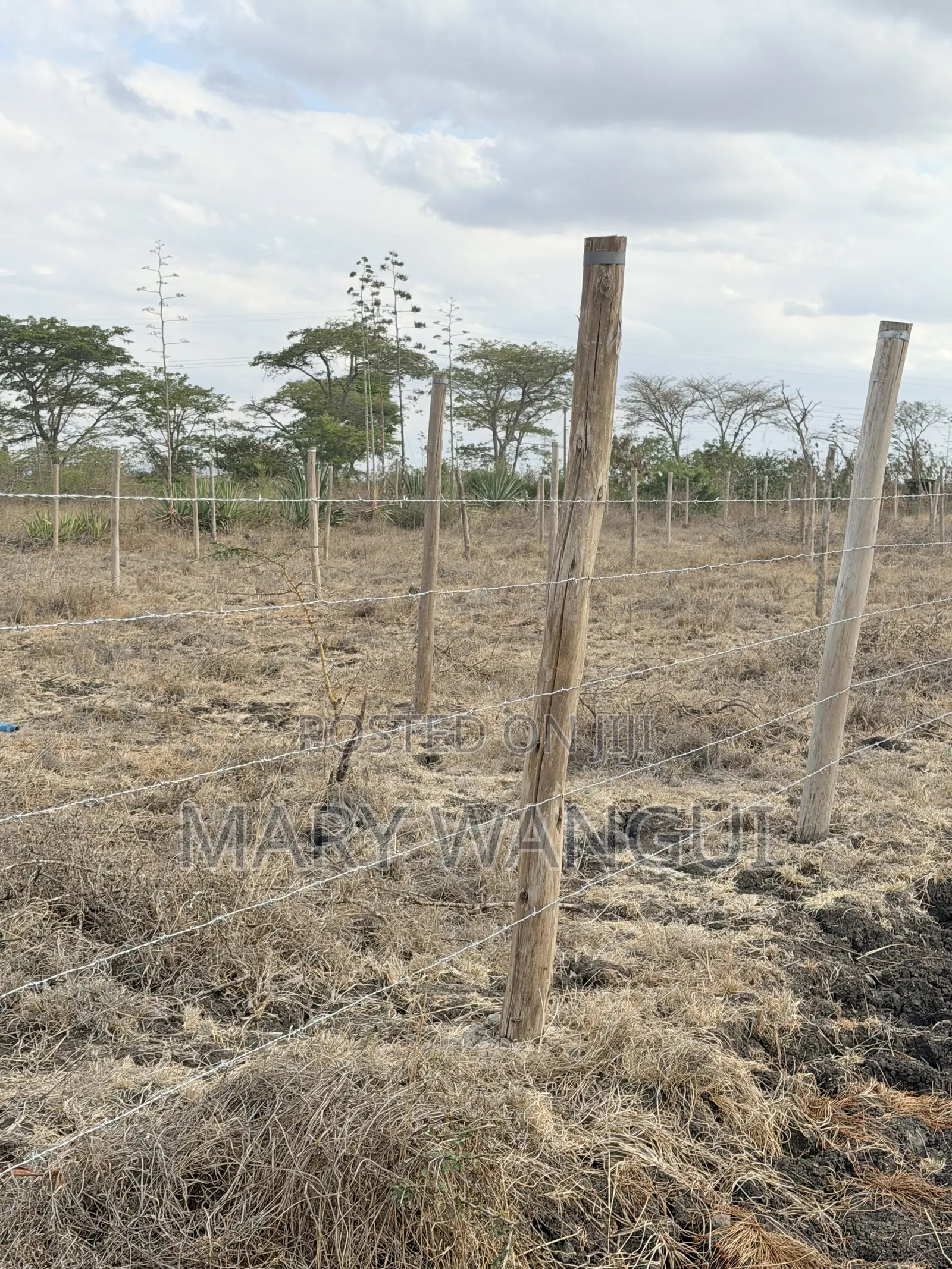 Nine (40 by 80) Plots Juja Farm -Mumba