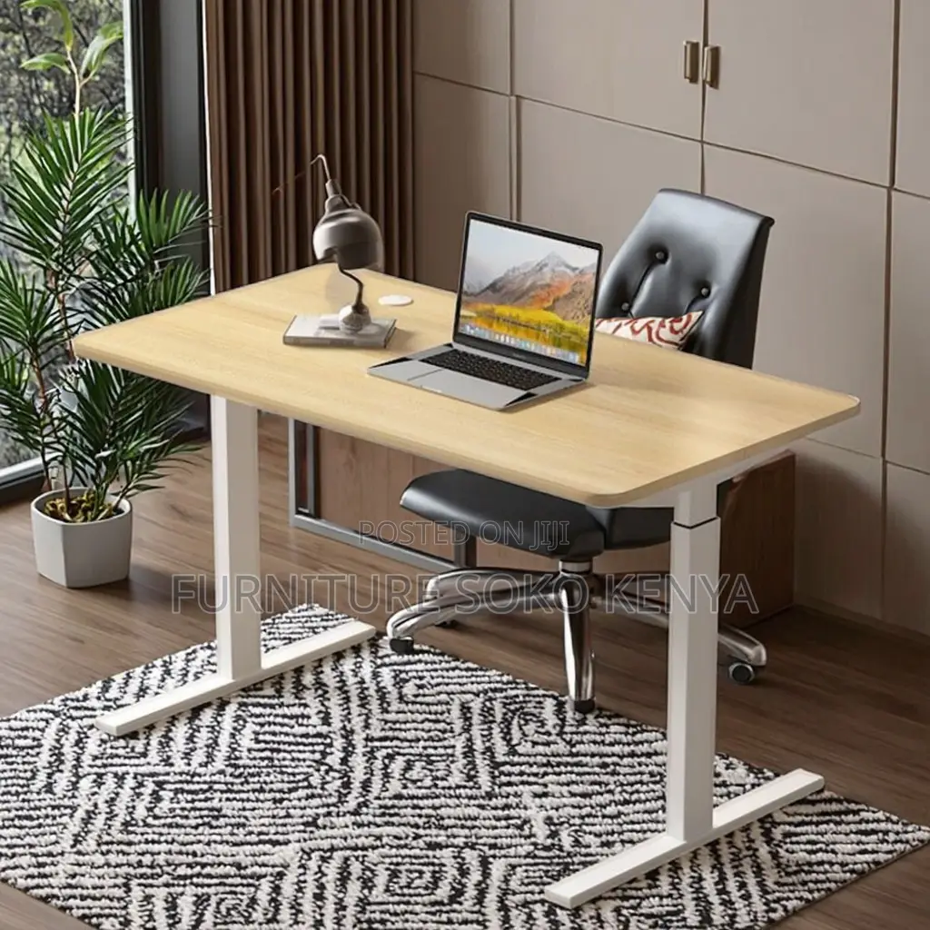 Office Desk : 1.2M Electric Sit-Stand Office Desk