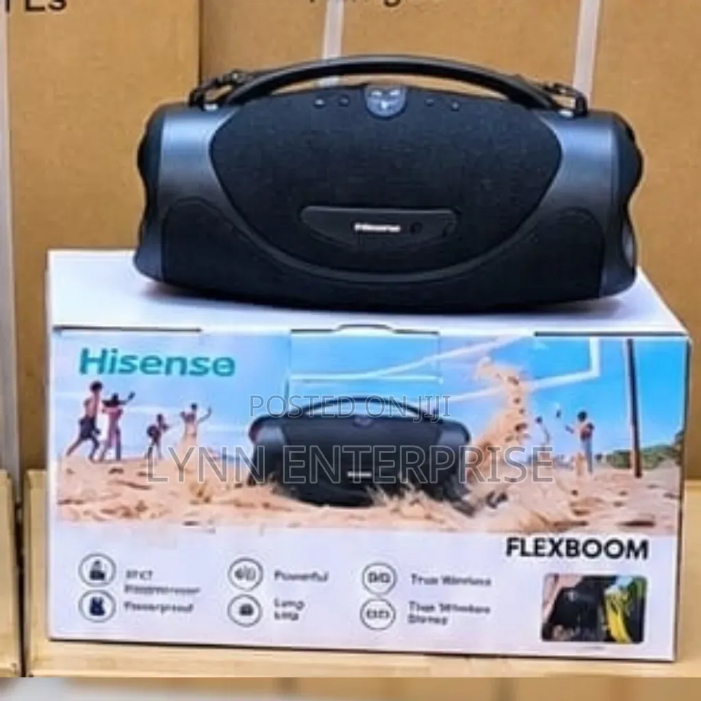 Portable Flexboom Hisense Speaker 