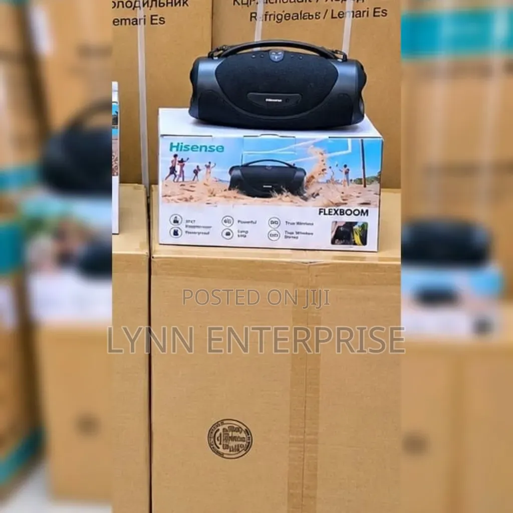 Portable Flexboom Hisense Speaker 