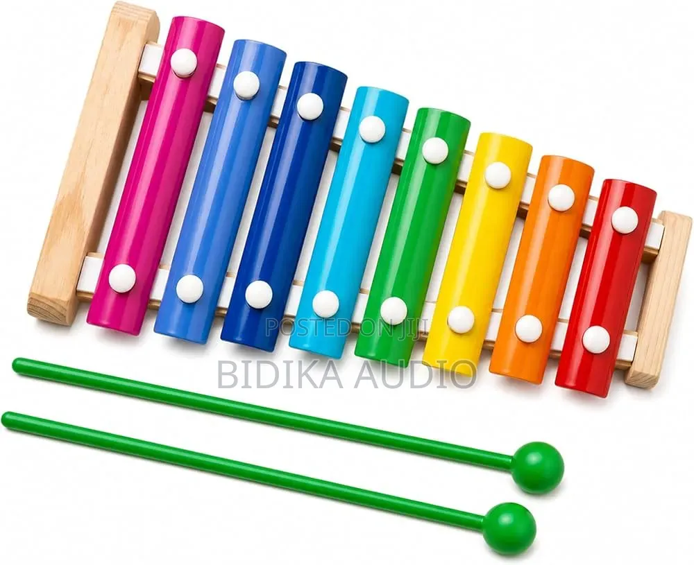 Xylophone Instrument