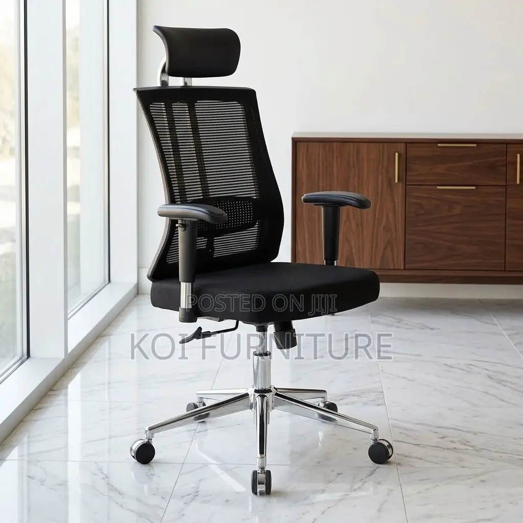 Office Chair : Orthopedic Office Chair -Re Inforced