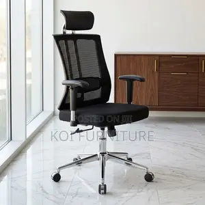 Office Chair : Orthopedic Office Chair -Re Inforced