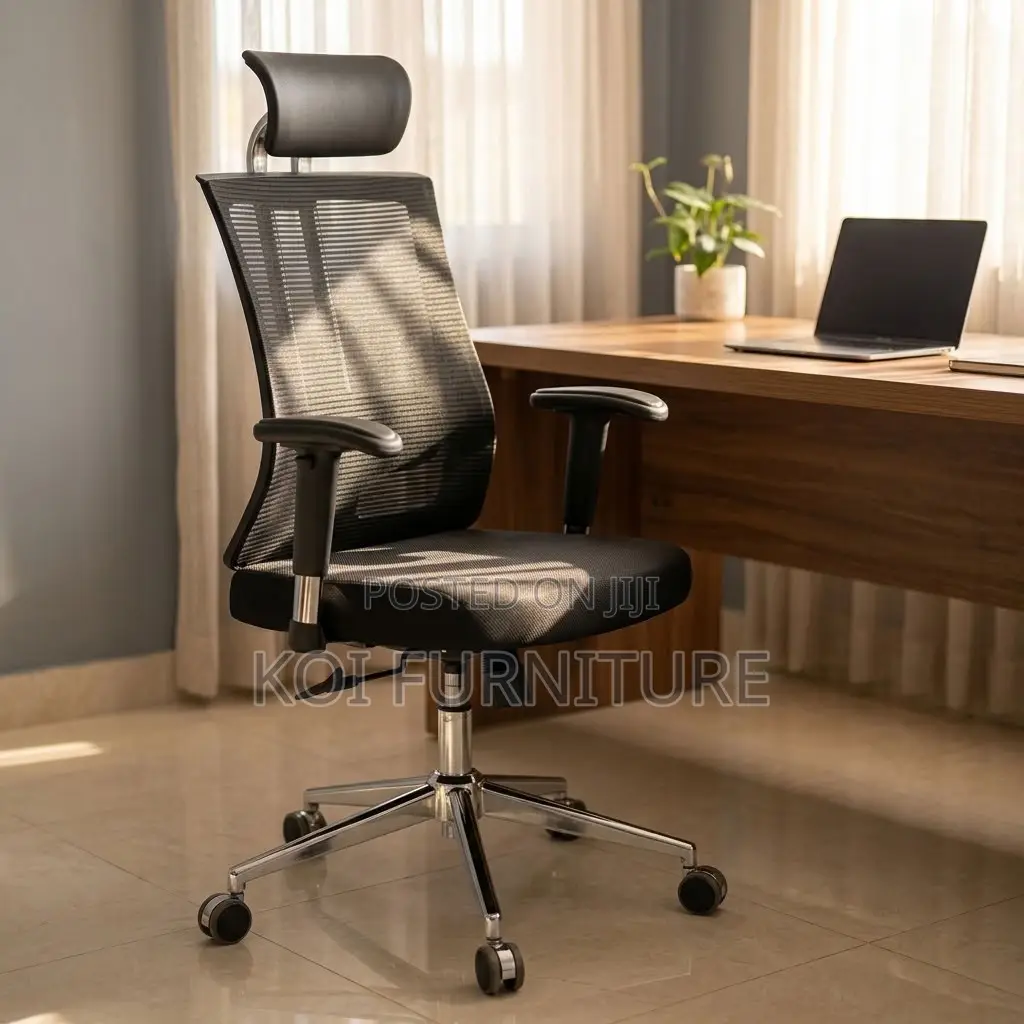 Office Chair : Orthopedic Office Chair -Re Inforced