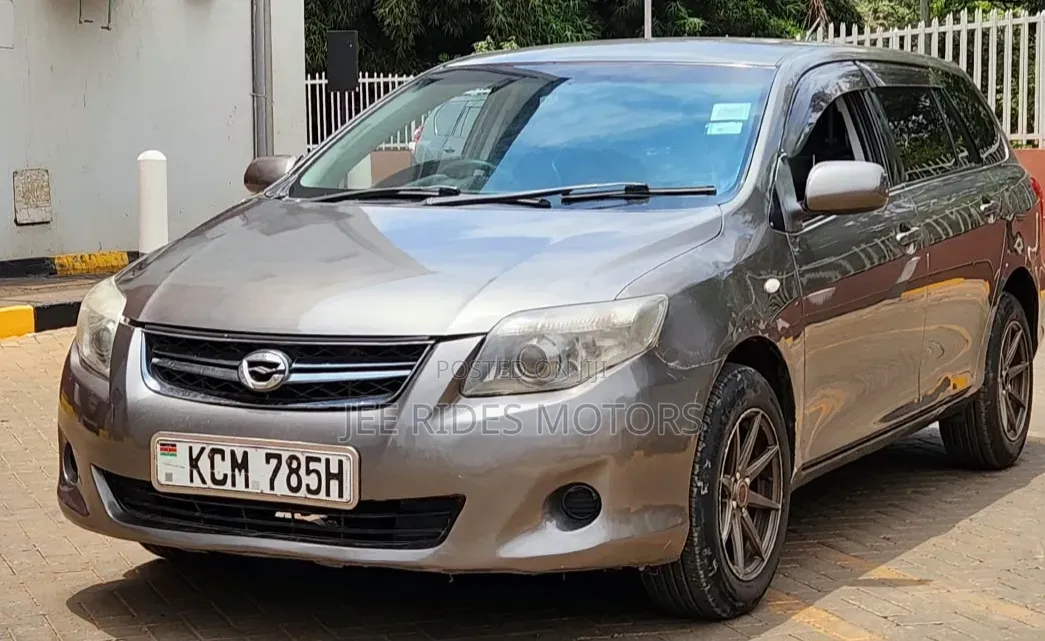 Toyota Corolla Fielder 2011 Gray
