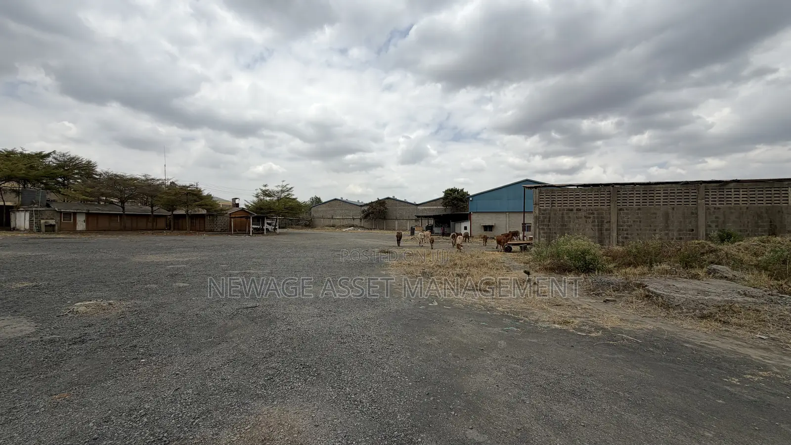 Commercial Property for Sale