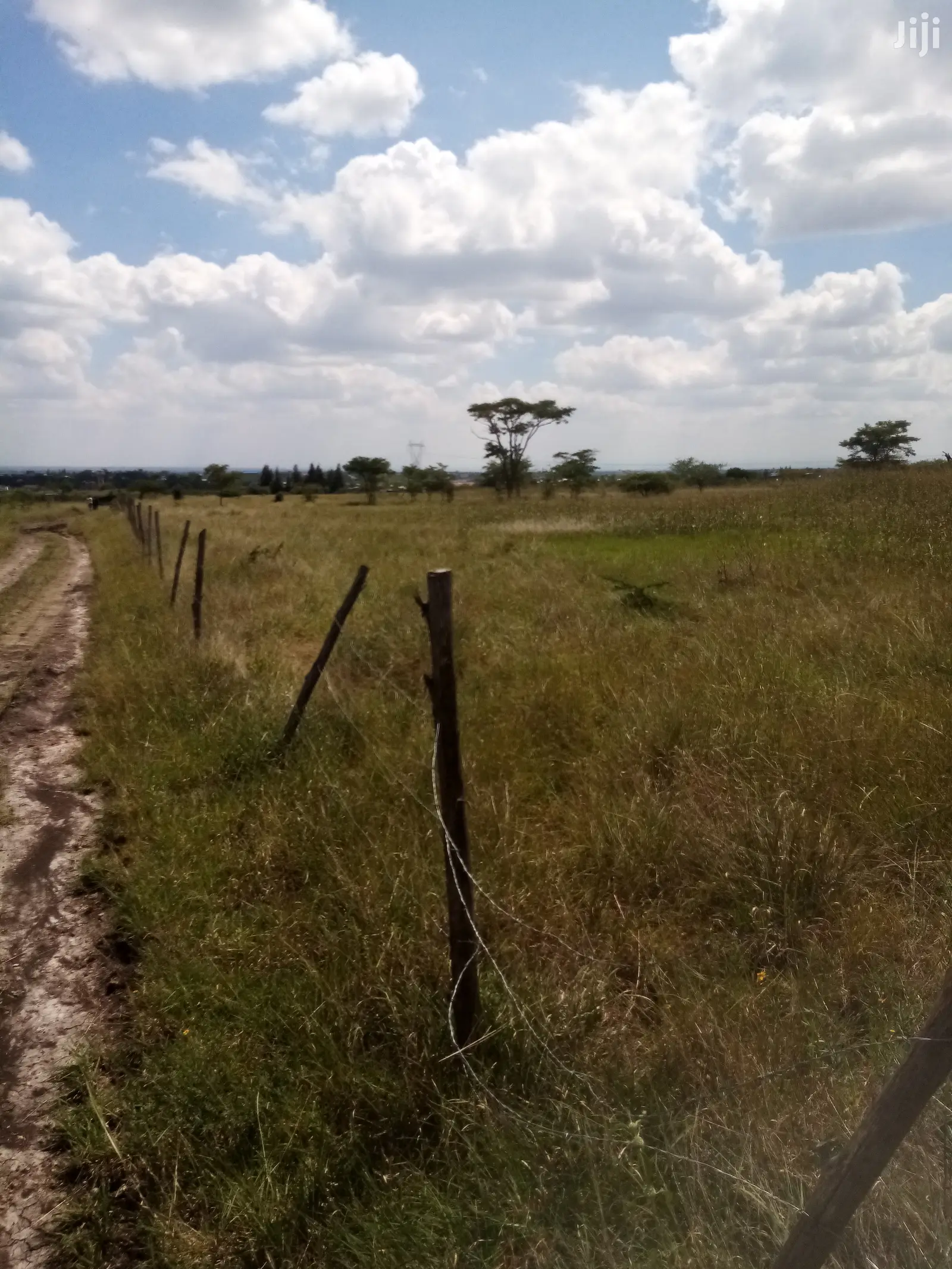 Mwalimu Farm Plots for Sale