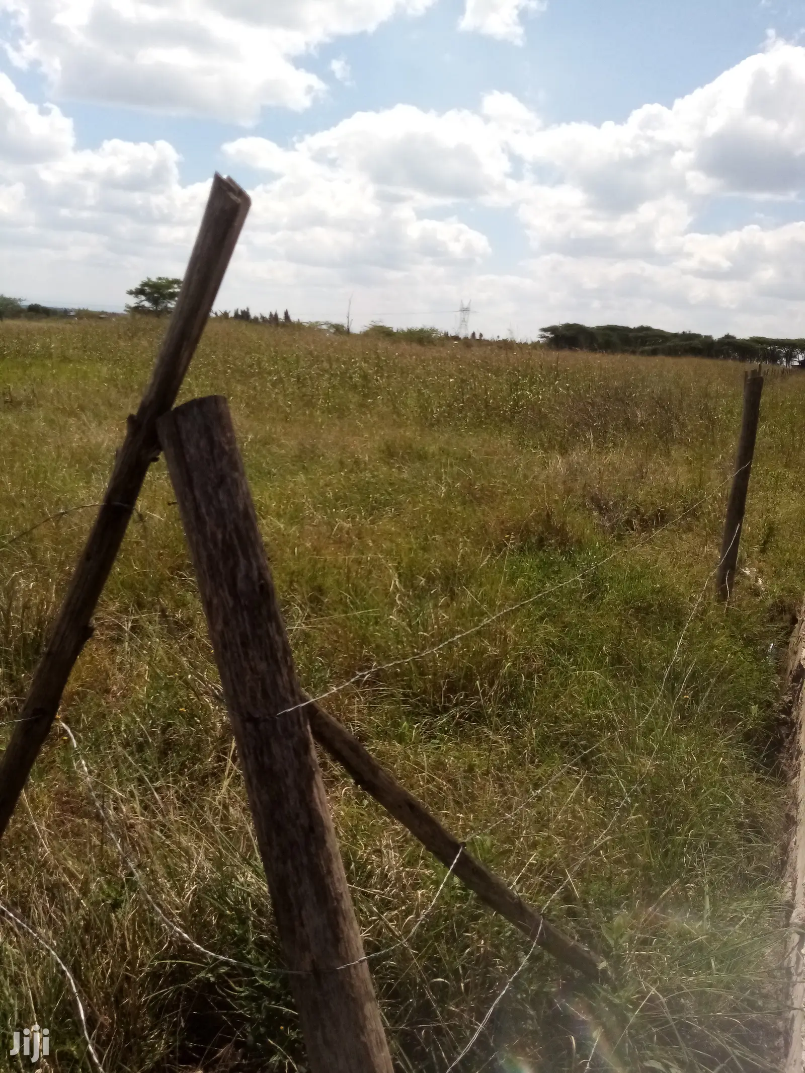 Mwalimu Farm Plots for Sale
