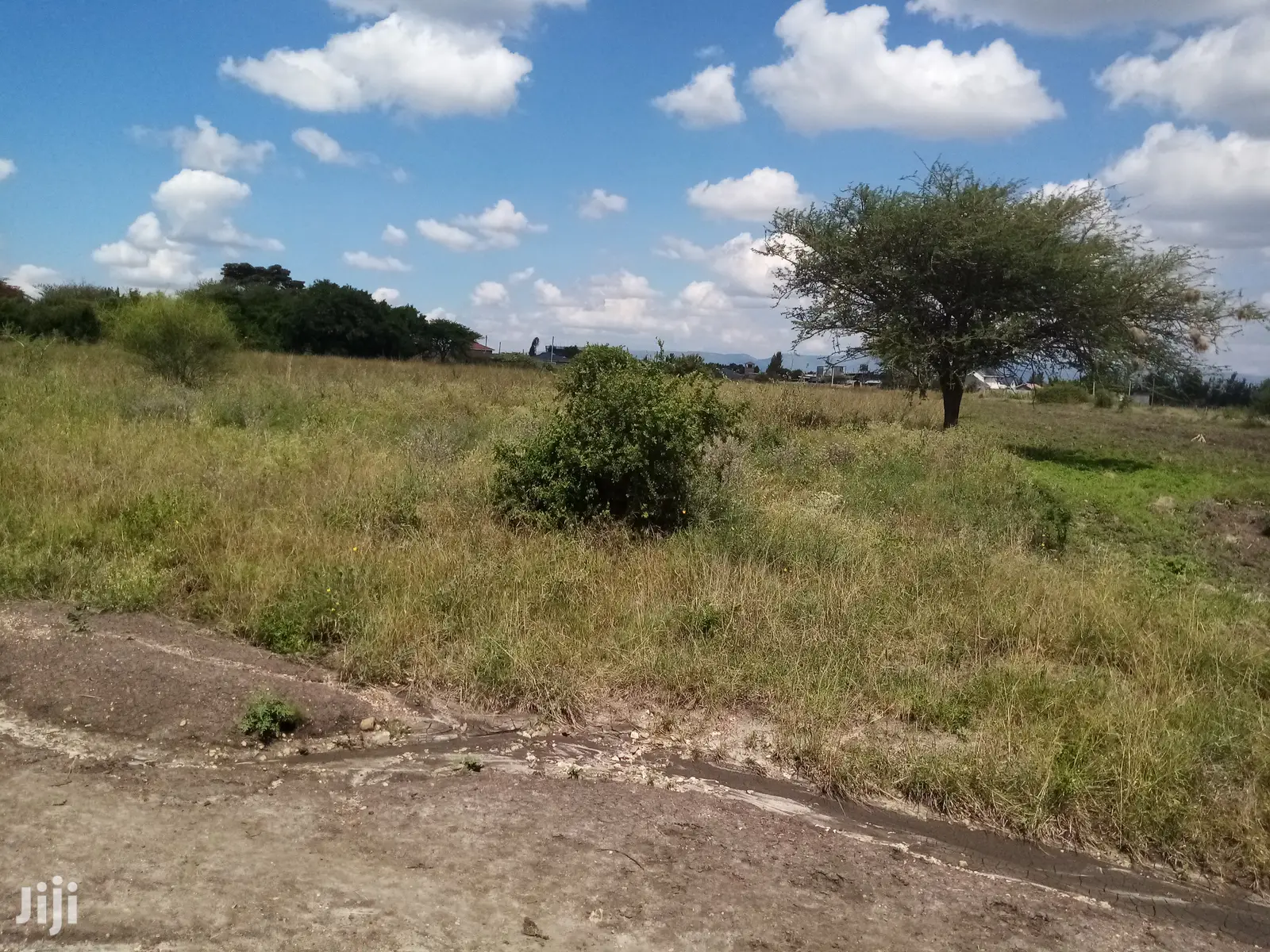 Mwalimu Farm Plots for Sale
