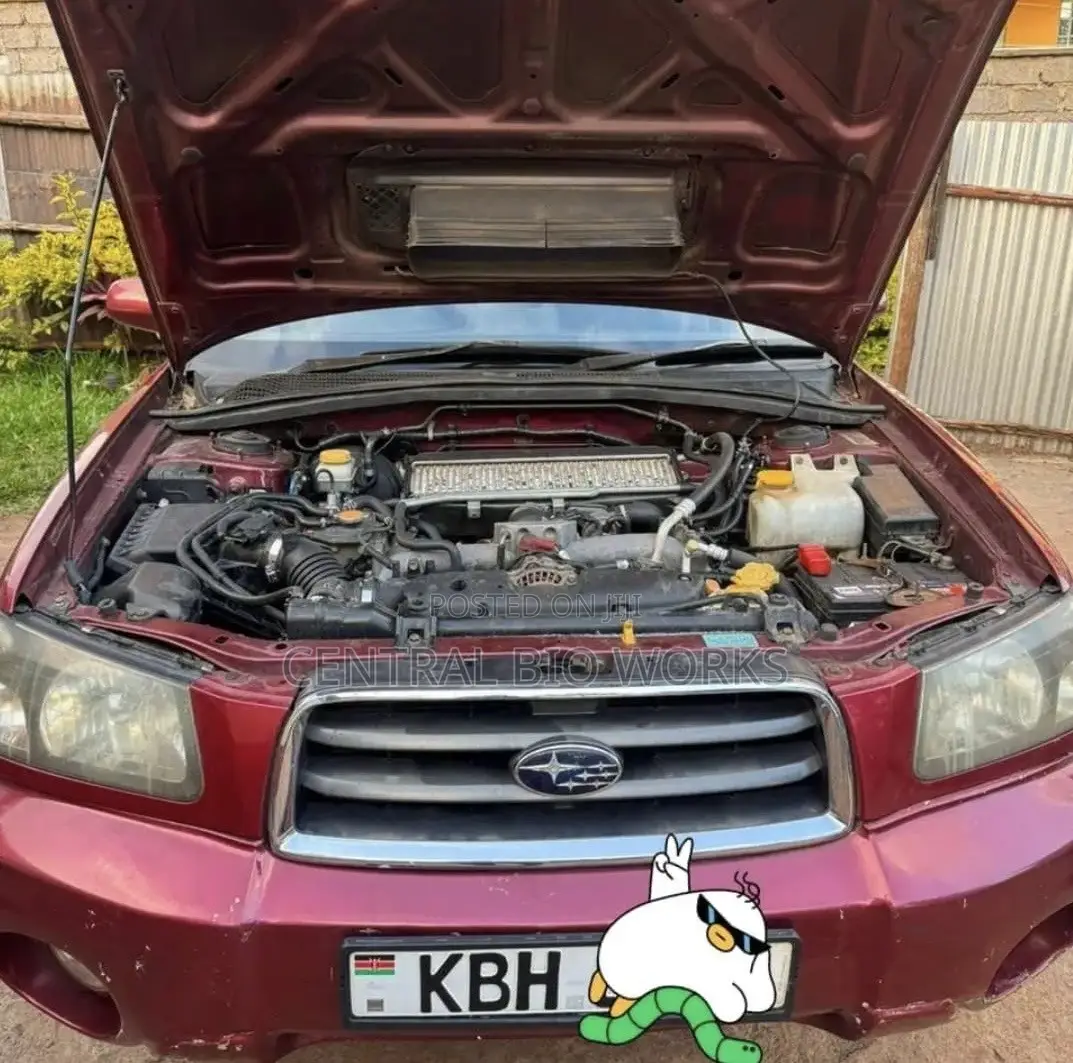 Subaru Forester 2.0 X Trend 2006 Red