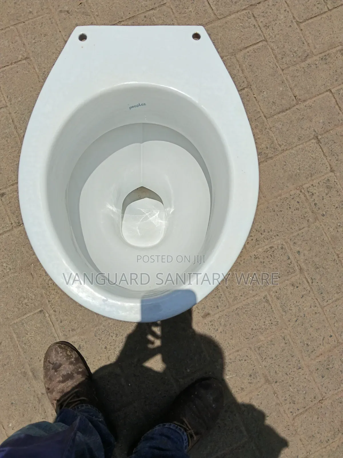 Professional Toilet Cleaning and Restoration