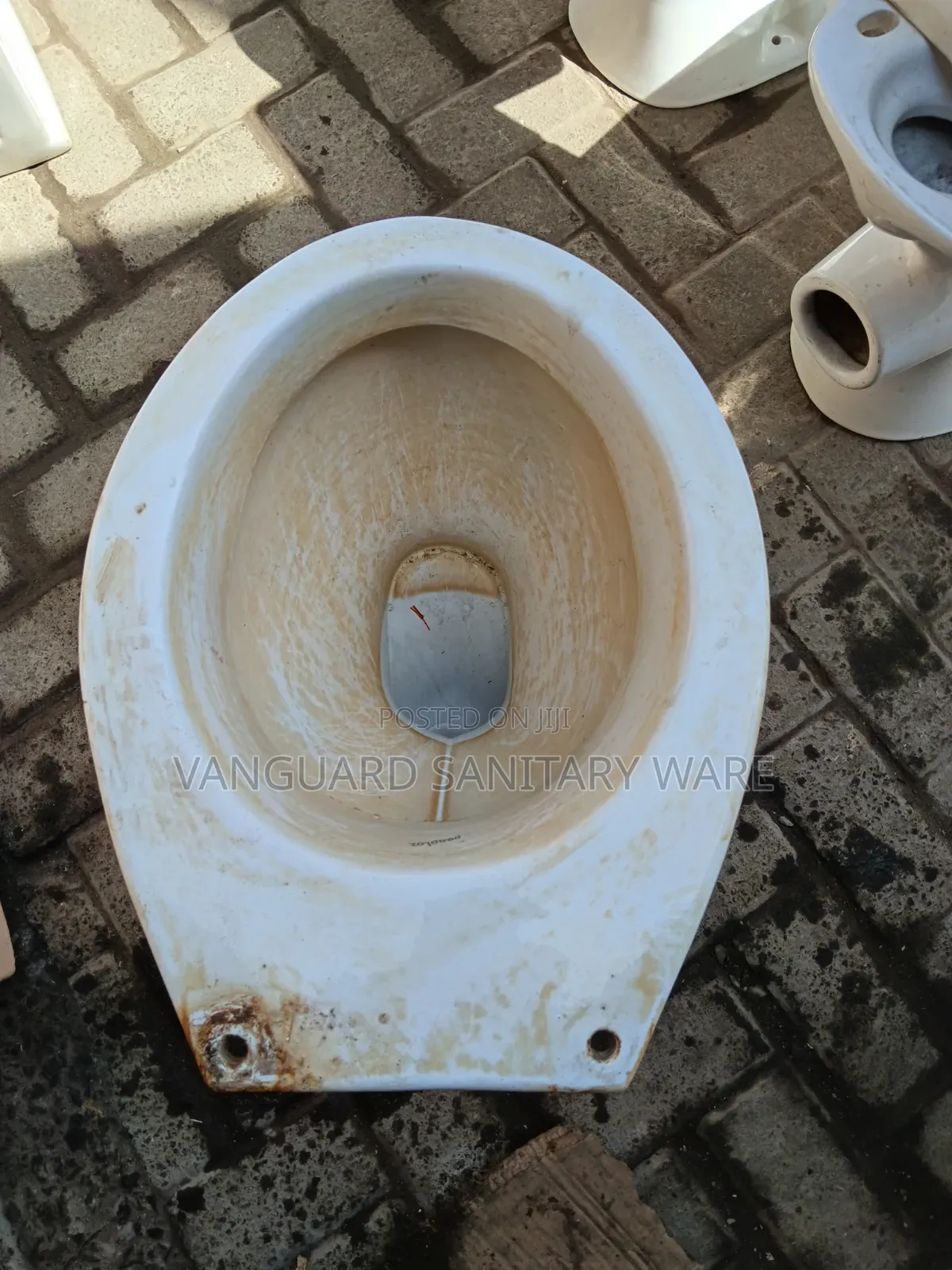 Professional Toilet Cleaning and Restoration