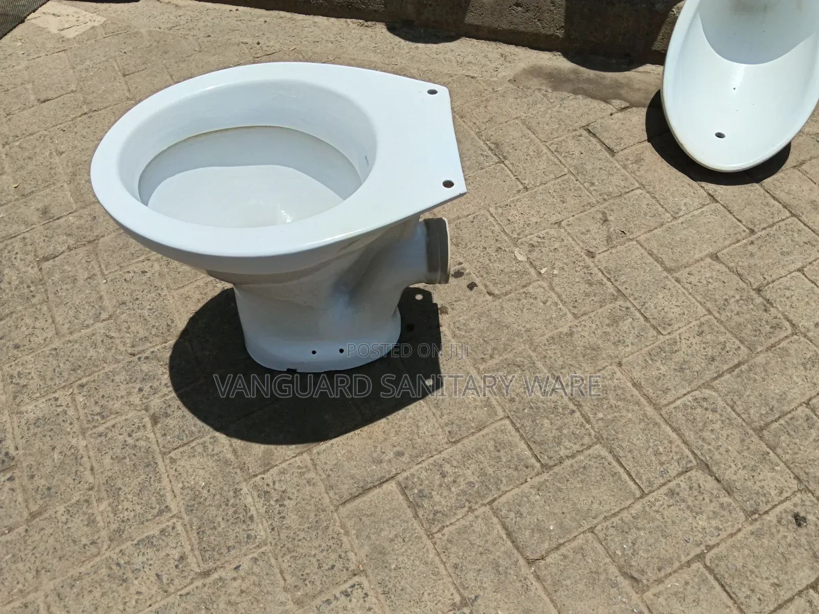 Professional Toilet Cleaning and Restoration