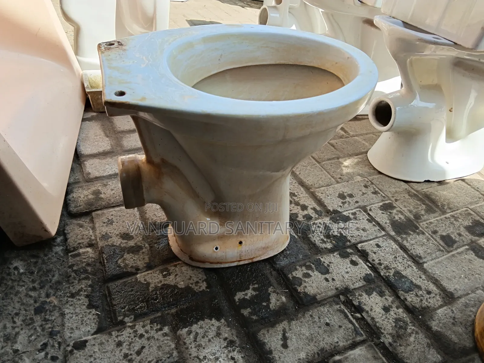 Professional Toilet Cleaning and Restoration
