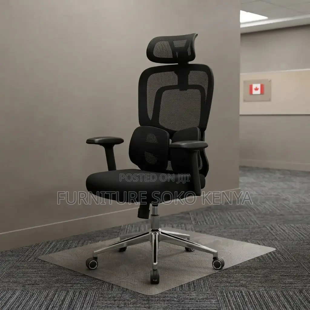 Office Chairs; Orthopedic High-Back Ergonomic Executive Chair