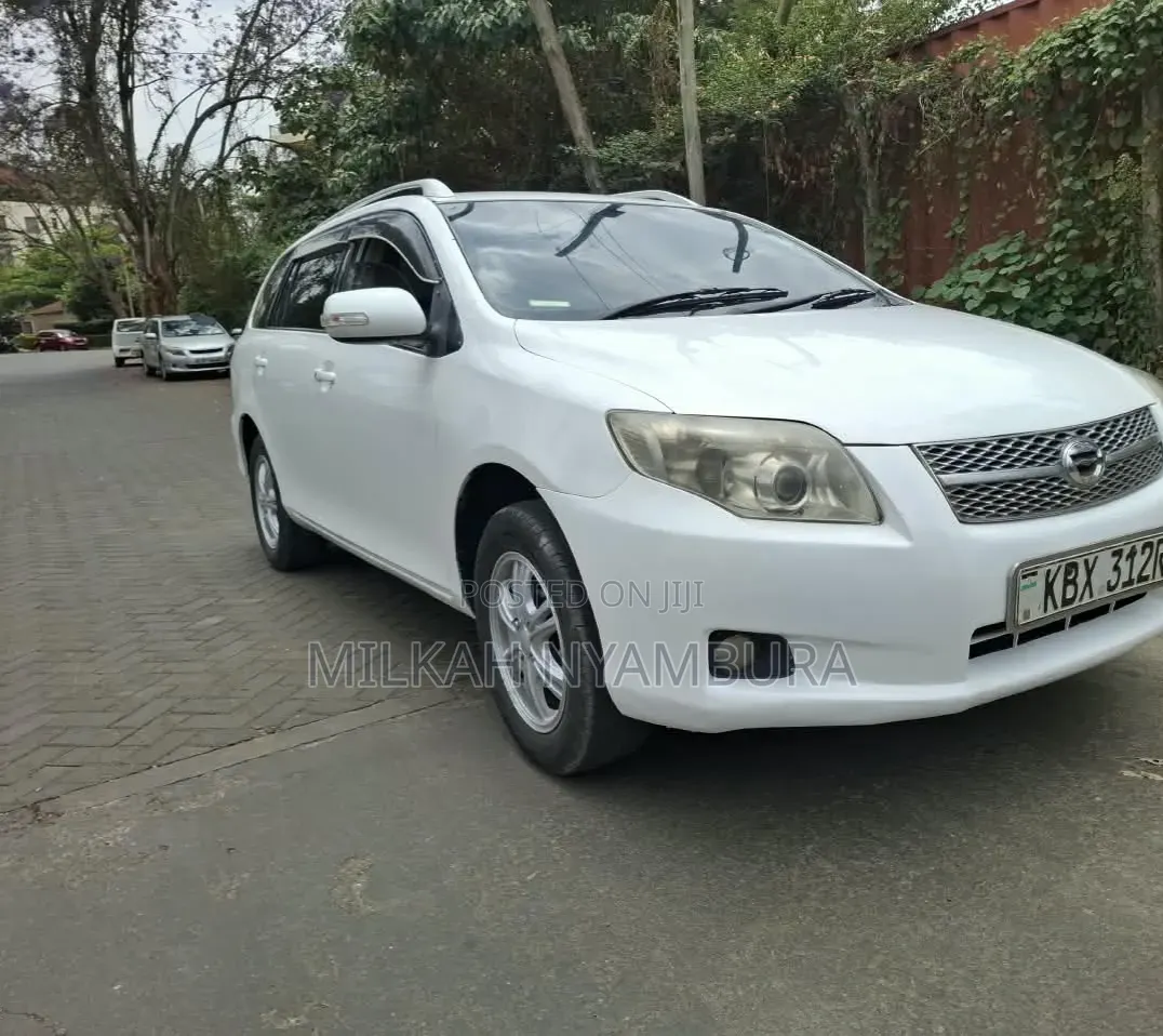 Toyota Corolla Fielder 2007 White