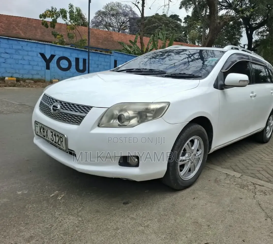 Toyota Corolla Fielder 2007 White