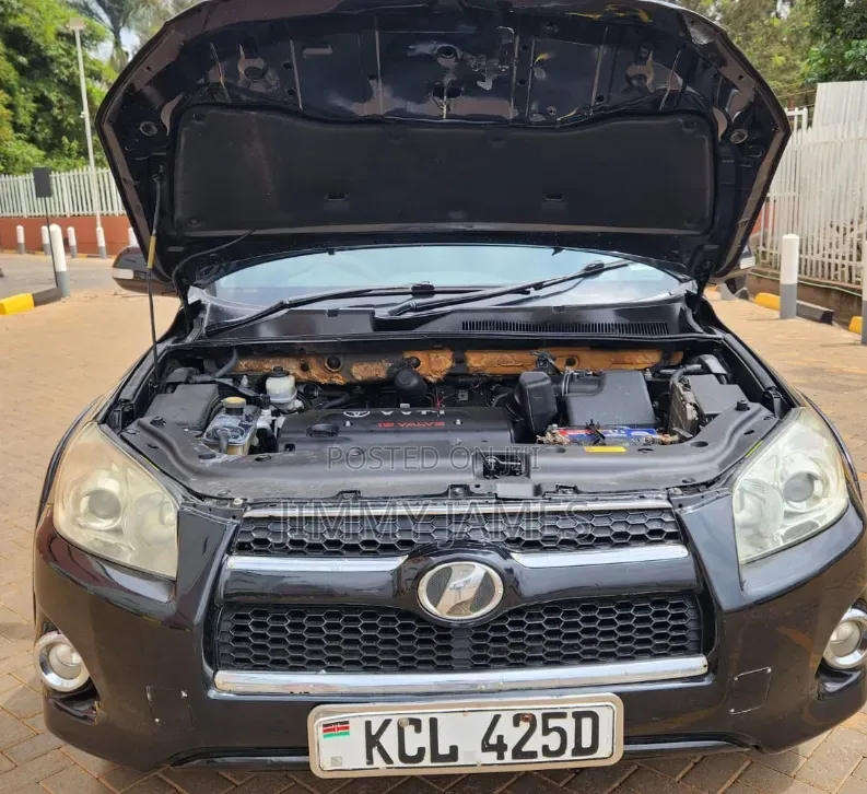 Toyota RAV4 2010 Black
