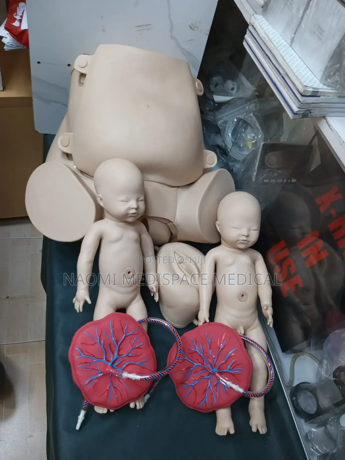 Child Birth Stimulator Twin Manikin/ Obstetric Twin Manikin