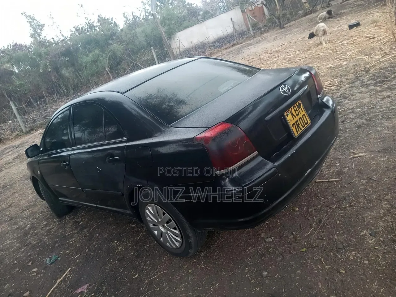 Toyota Avensis 2004 Matt Black